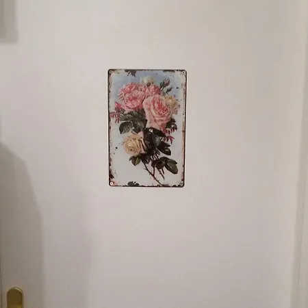 公寓 Family Rose Duplex 牟罗兹
